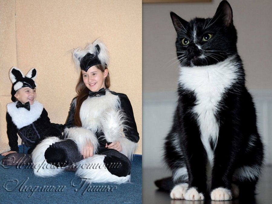 фото коллаж карнавальный костюм кошки и котенка