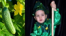 костюм огурчика для мальчика фото на фоне зеленого огурца