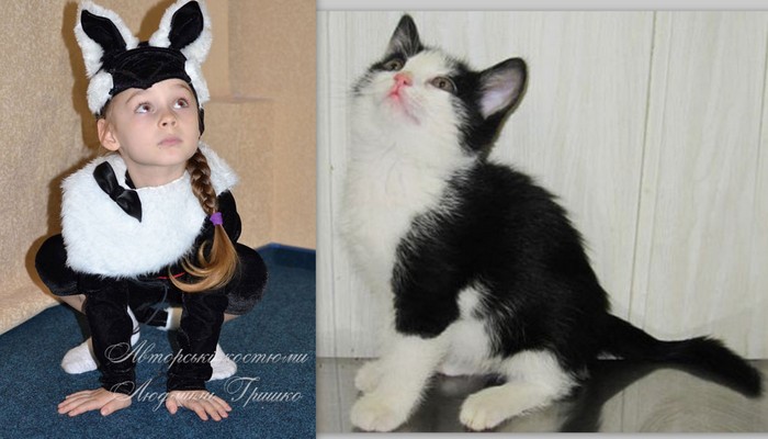 карнавального костюма котенка для малышей фото коллаж с котенком