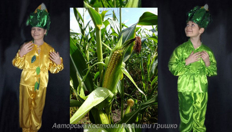 костюм кукурузы фото коллаж костюма на фоне кукурузы