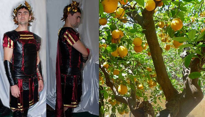 яблоки бессмертия фото костюма римского воина на фоне лимонного дерева