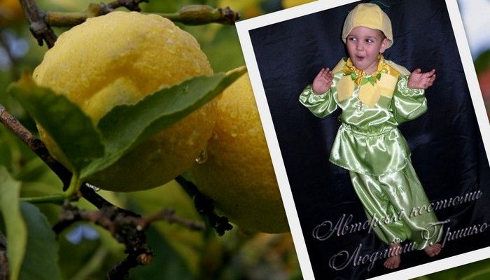 фото коллаж лимон и детский карнавальный костюм лимона