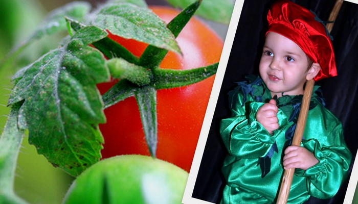 маскарадный костюм помидора-1 фото коллаж с помидором
