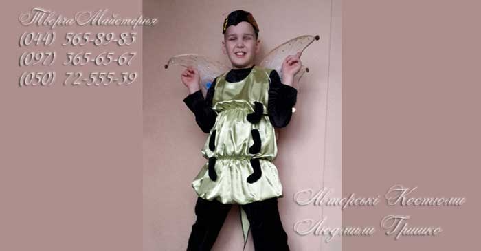 костюм бабочки для мальчика фото костюма на праздник осени
