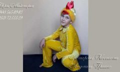 костюм цыпленка фото карнавального наряда