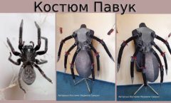 костюм павук карнавальний
